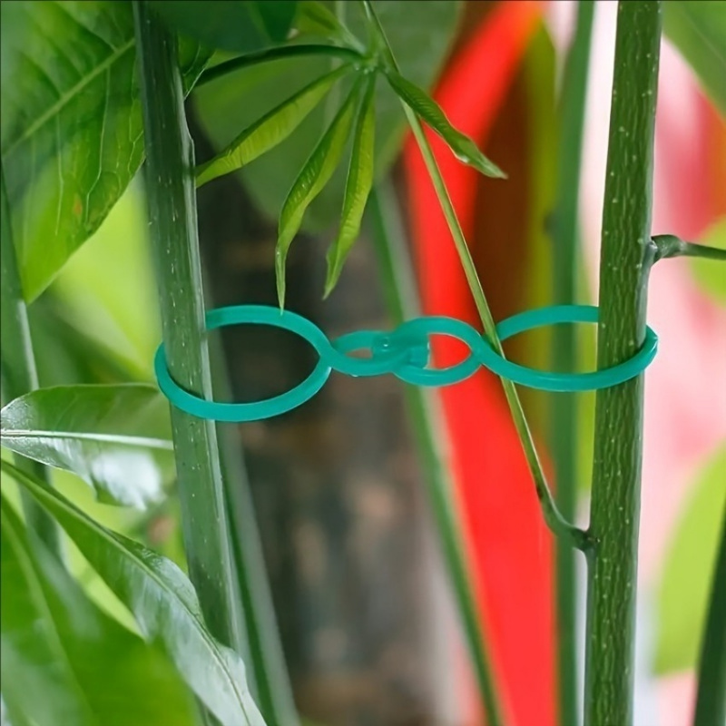 125Pcs Perlengkapan Penyangga  - Vine Climbing Plastic ulasan dan harga