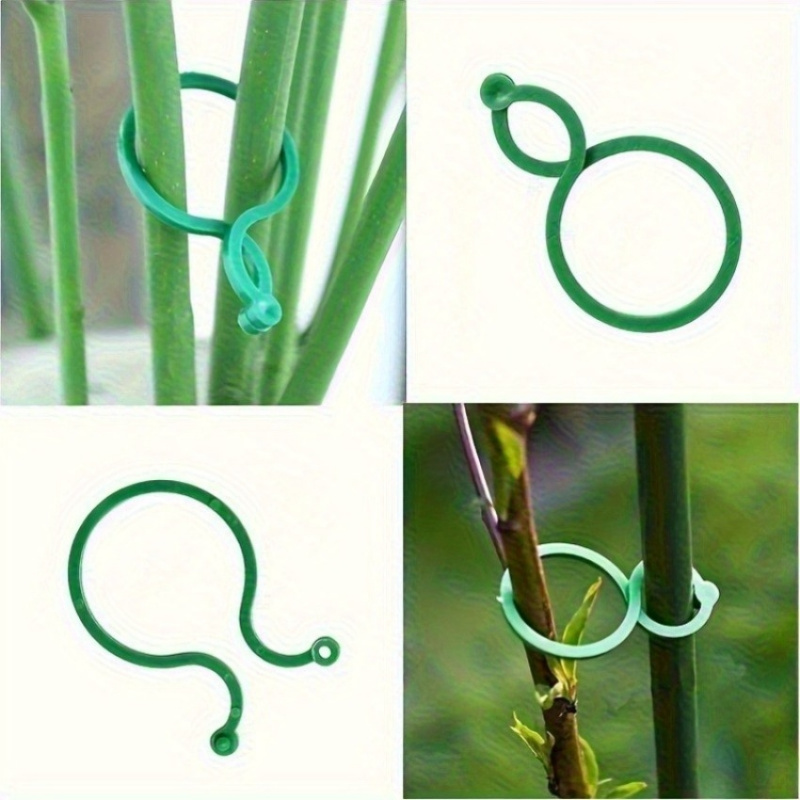 125Pcs Perlengkapan Penyangga  - Vine Climbing Plastic ulasan dan harga