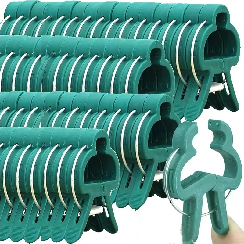 Penjepit Tanaman yang Dapat Di - Vine Climbing Plastic ulasan dan harga
