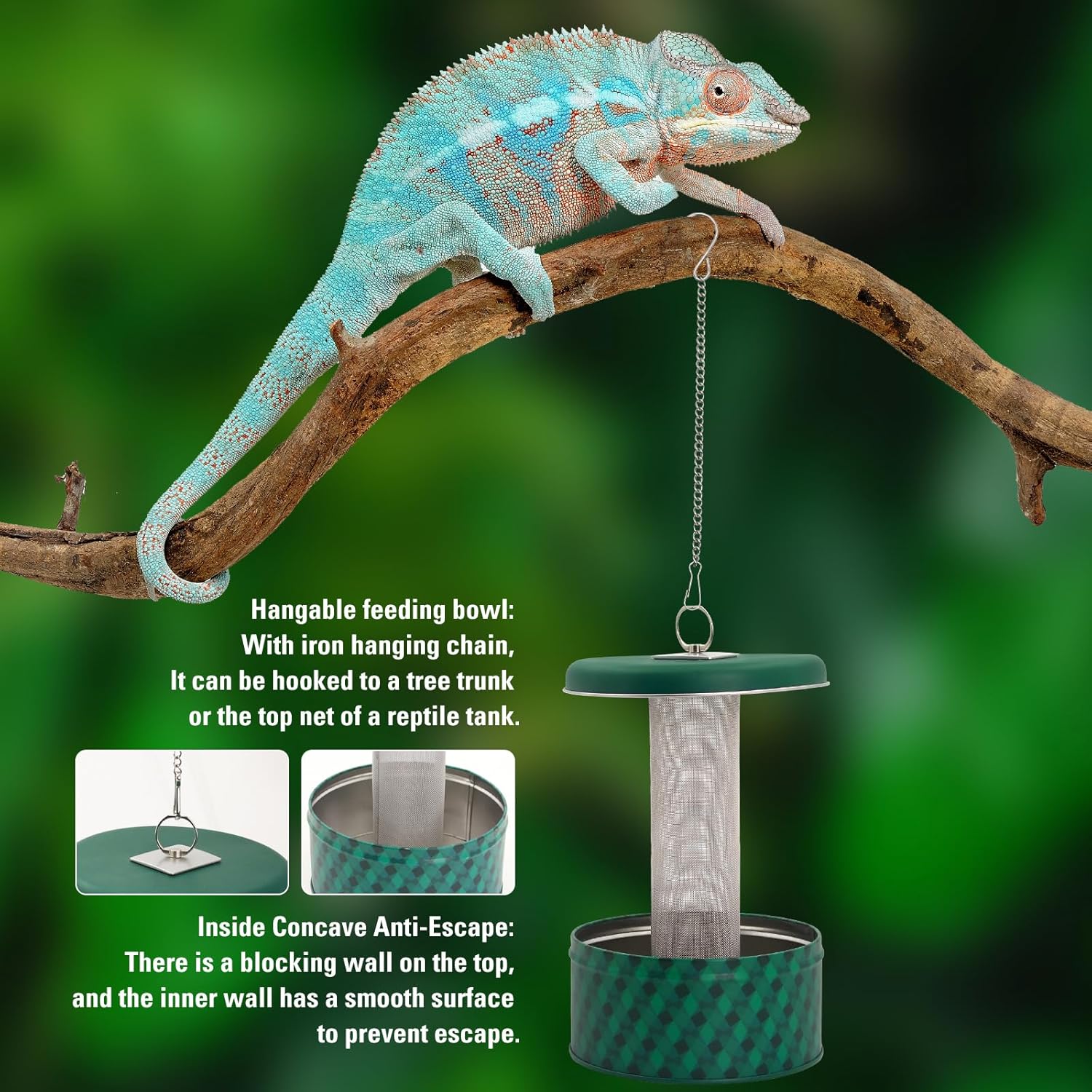 Tempat Makan Naga Berjenggot,  - Water Dish Reptile ulasan dan harga