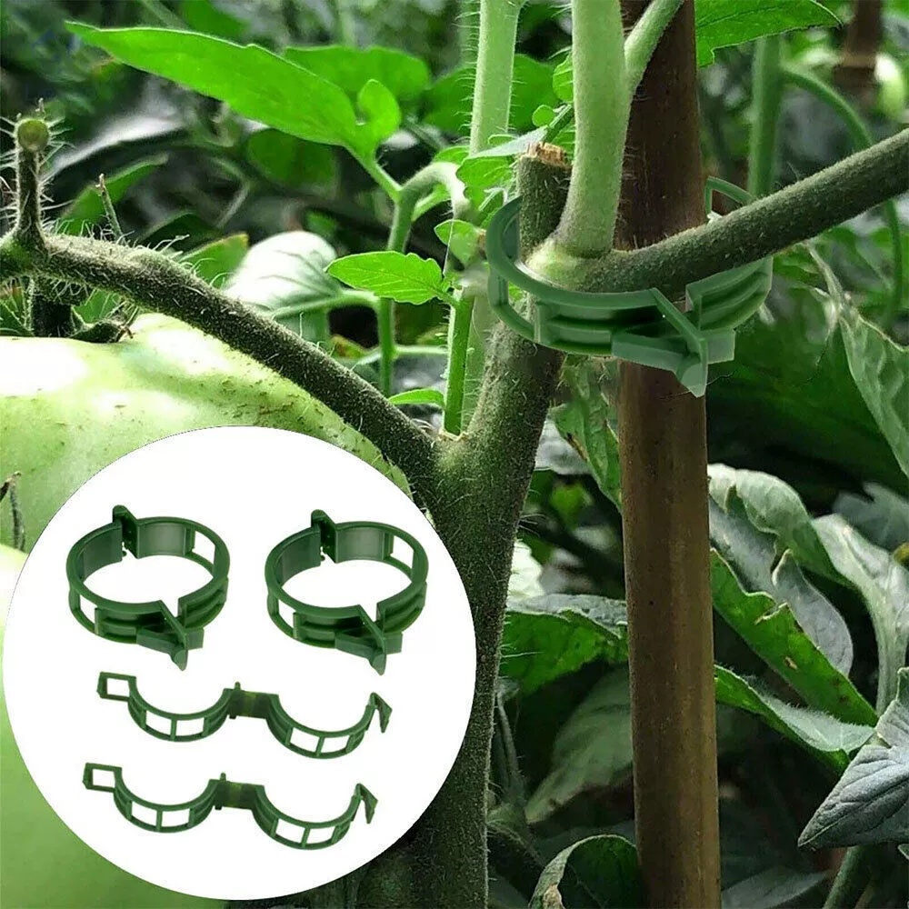 Klip Penopang Tanaman Plastik, - Vine Climbing Plastic ulasan dan harga