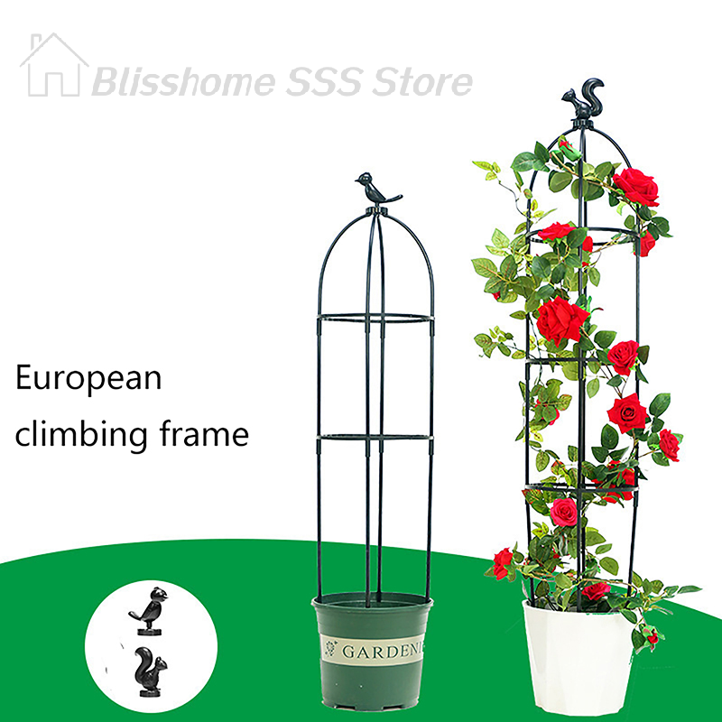 【S】1Set Kandang Penyangga Tana - Vine Climbing Plastic ulasan dan harga
